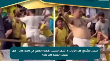 حبس مشجع كفر الزيات 6 أشهر بسبب رقصه العاري في المدرجات – هل تعرف القصة الكاملة؟